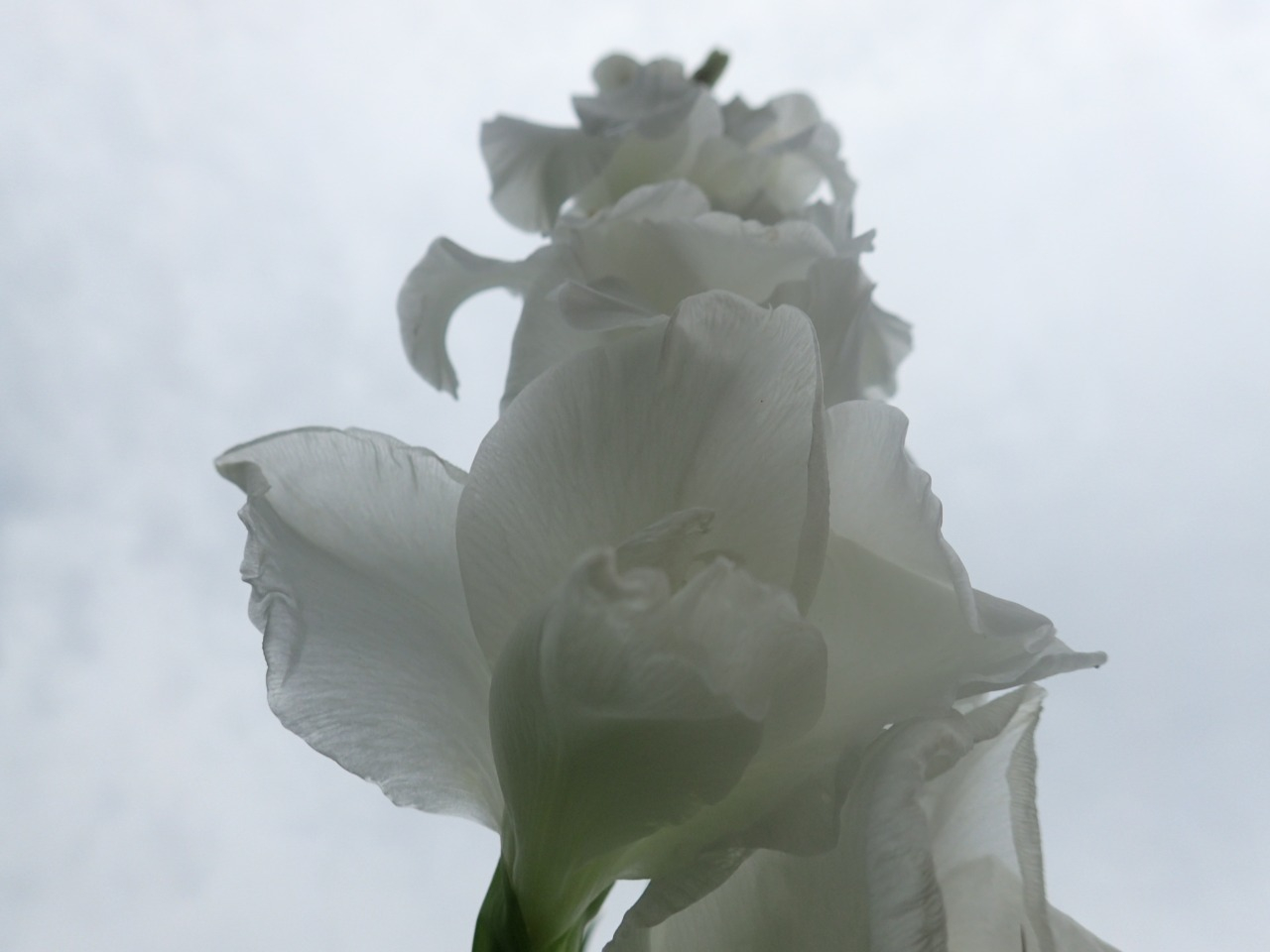 P7050057.JPG