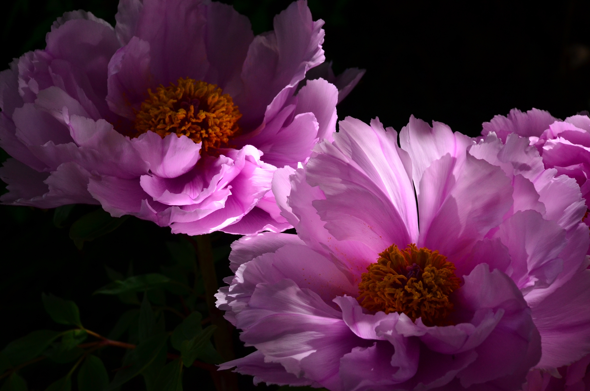 27552CED-0215-423A-8C7F-5BC5A52B1F8B.jpeg