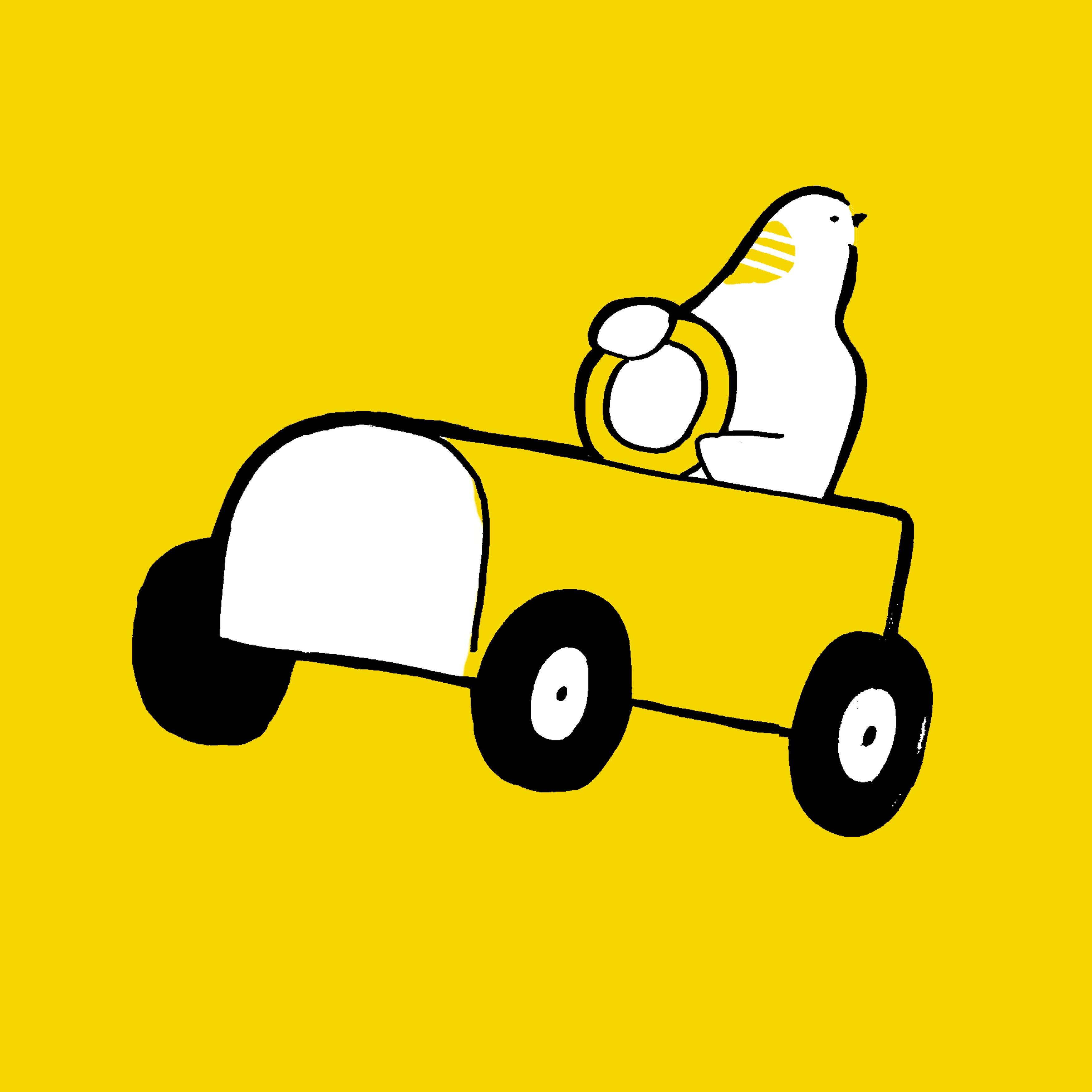 きょうのどうぶつ ハト クキオ Coconalaブログ