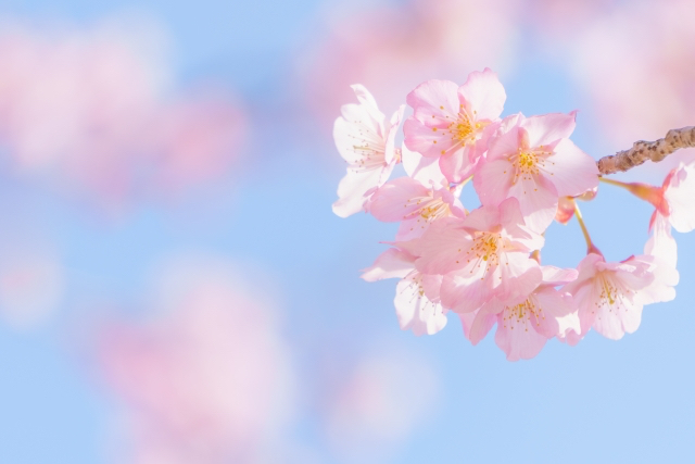 23004030_s.jpg