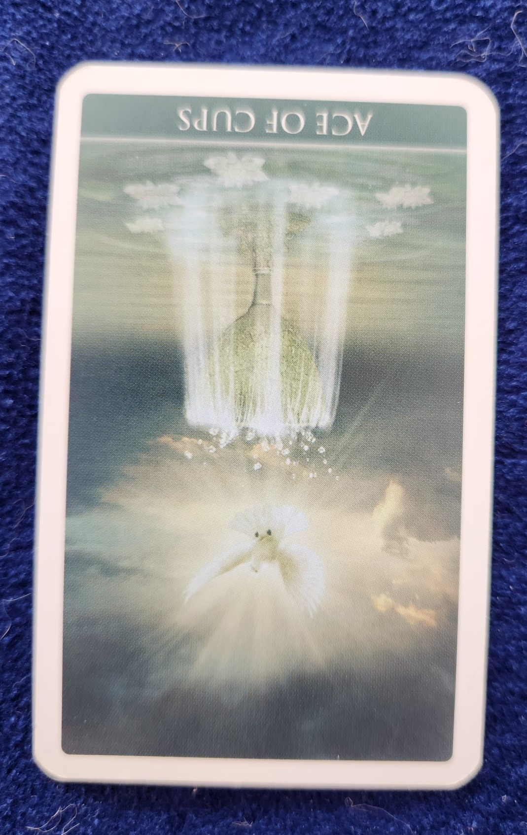 20231108_093007 (002).jpg