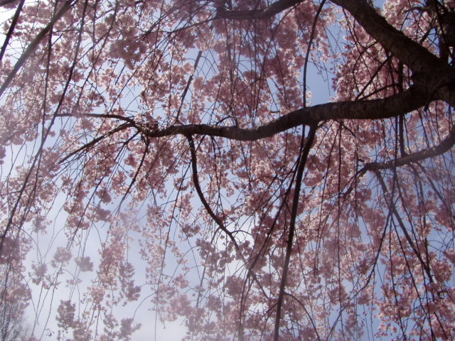 P1010237.JPG