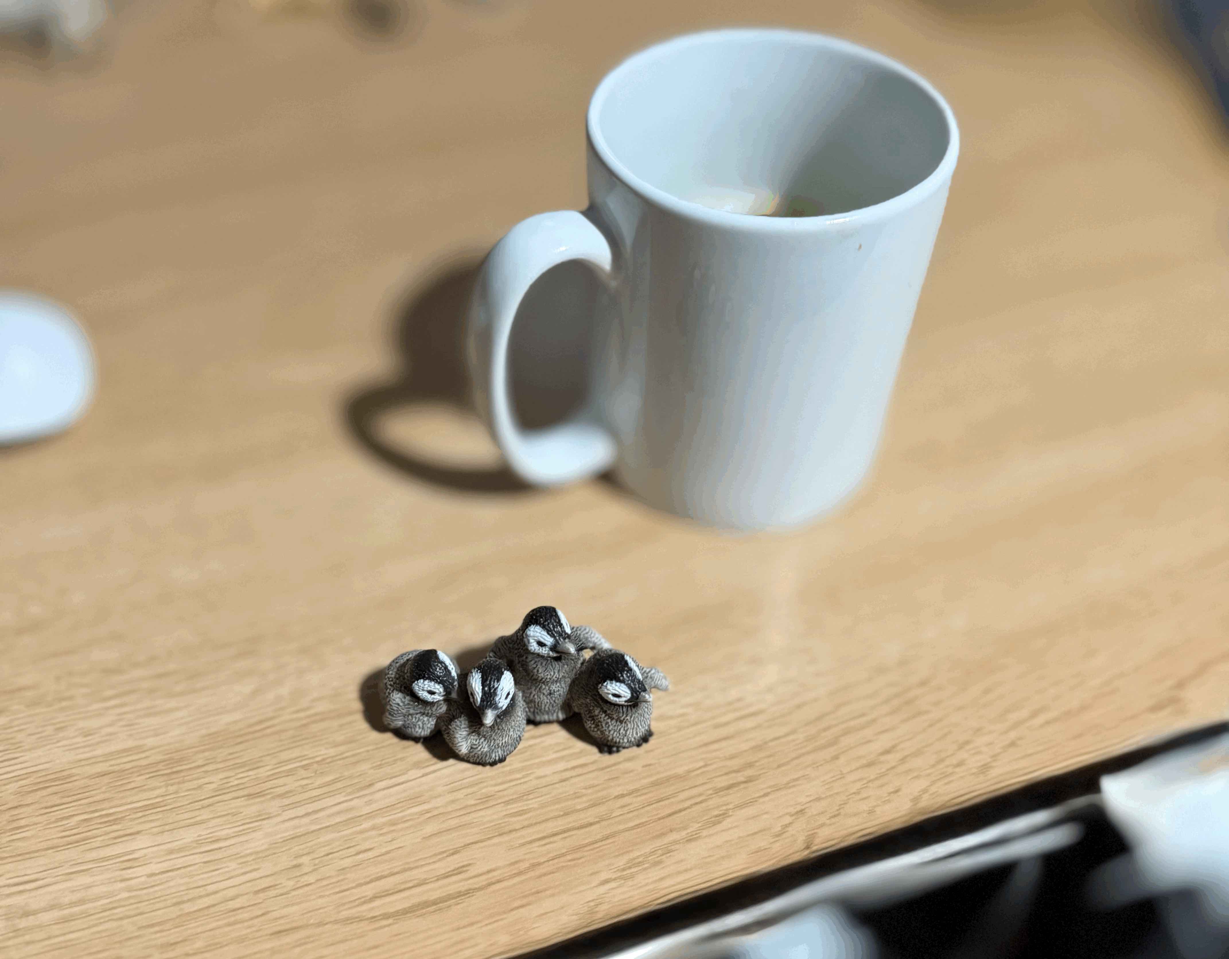 tempImagel7t367.gif