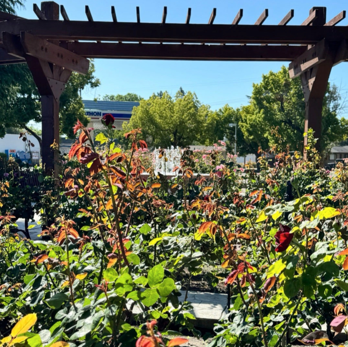 スクリーンショット 2024-06-09 11.53.03.png