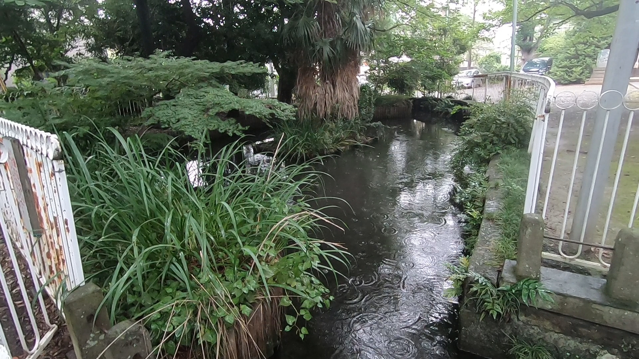 picture_pc_6bf1c3e4729940f528d7f4dab3a6f358.png