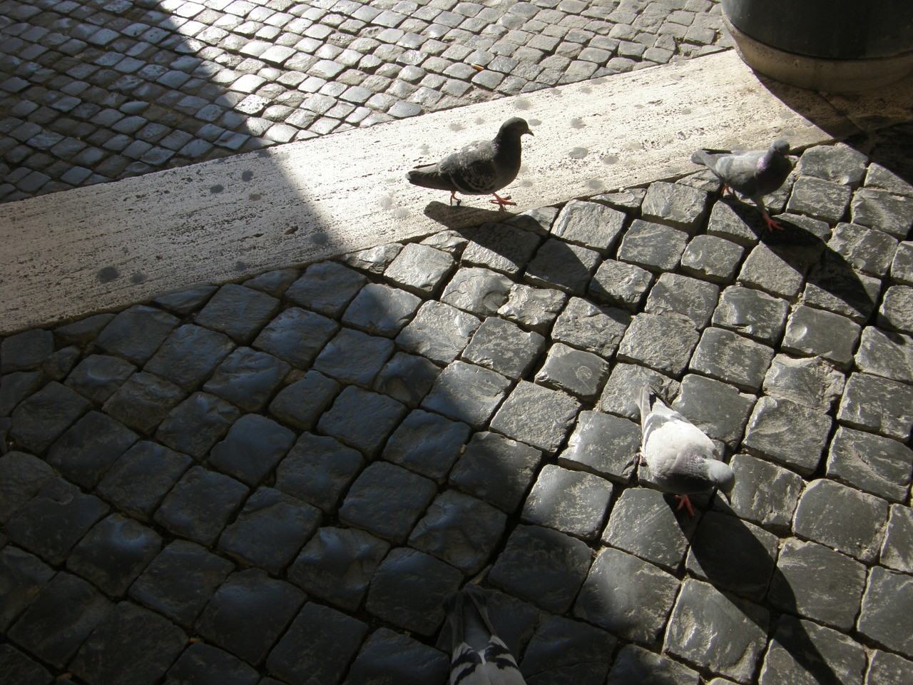P2140096.JPG