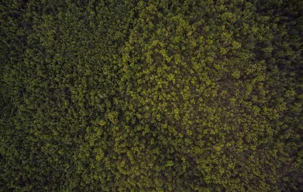 811-600x380.jpg