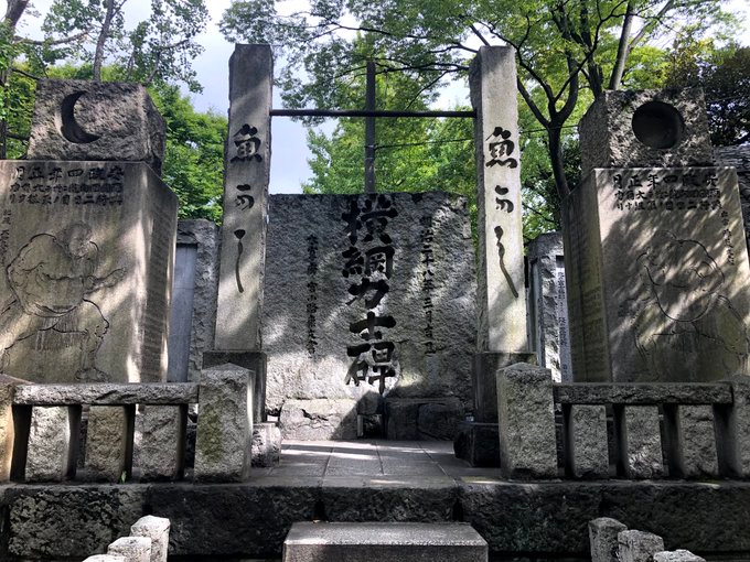 Fg_51ImVUAAZmUS.jfif