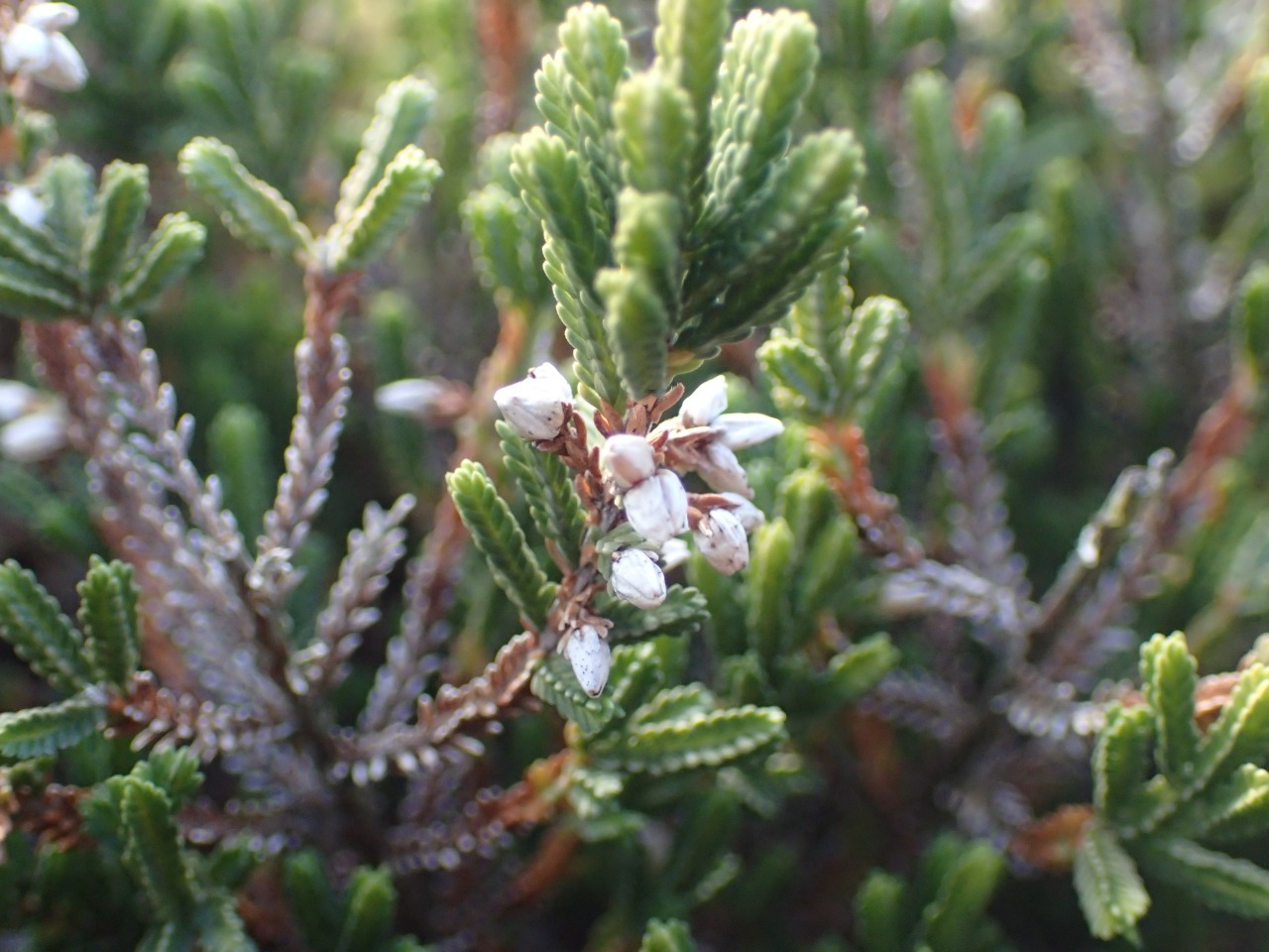 PC220701.JPG