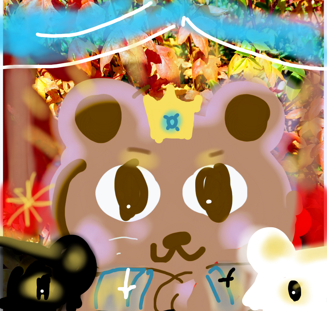 sketch-1655521380227.png