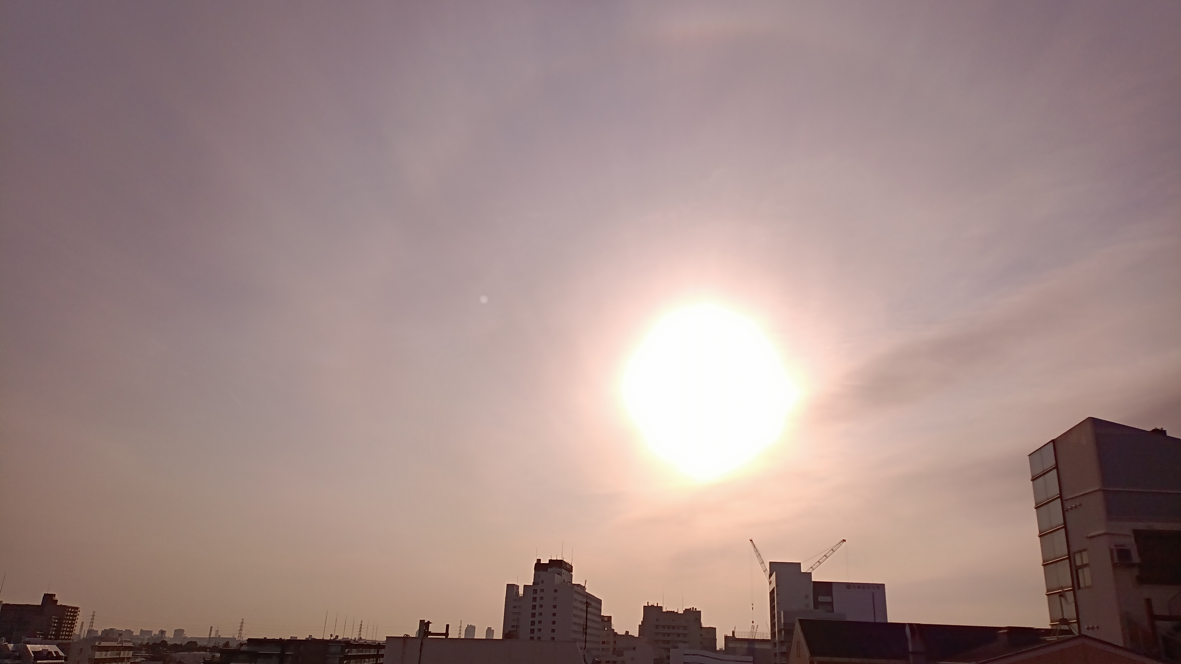 IMG_20250314_073726_984.jpg