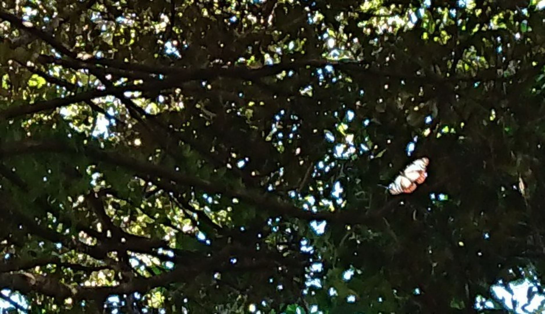 sketch-1700800073926.png