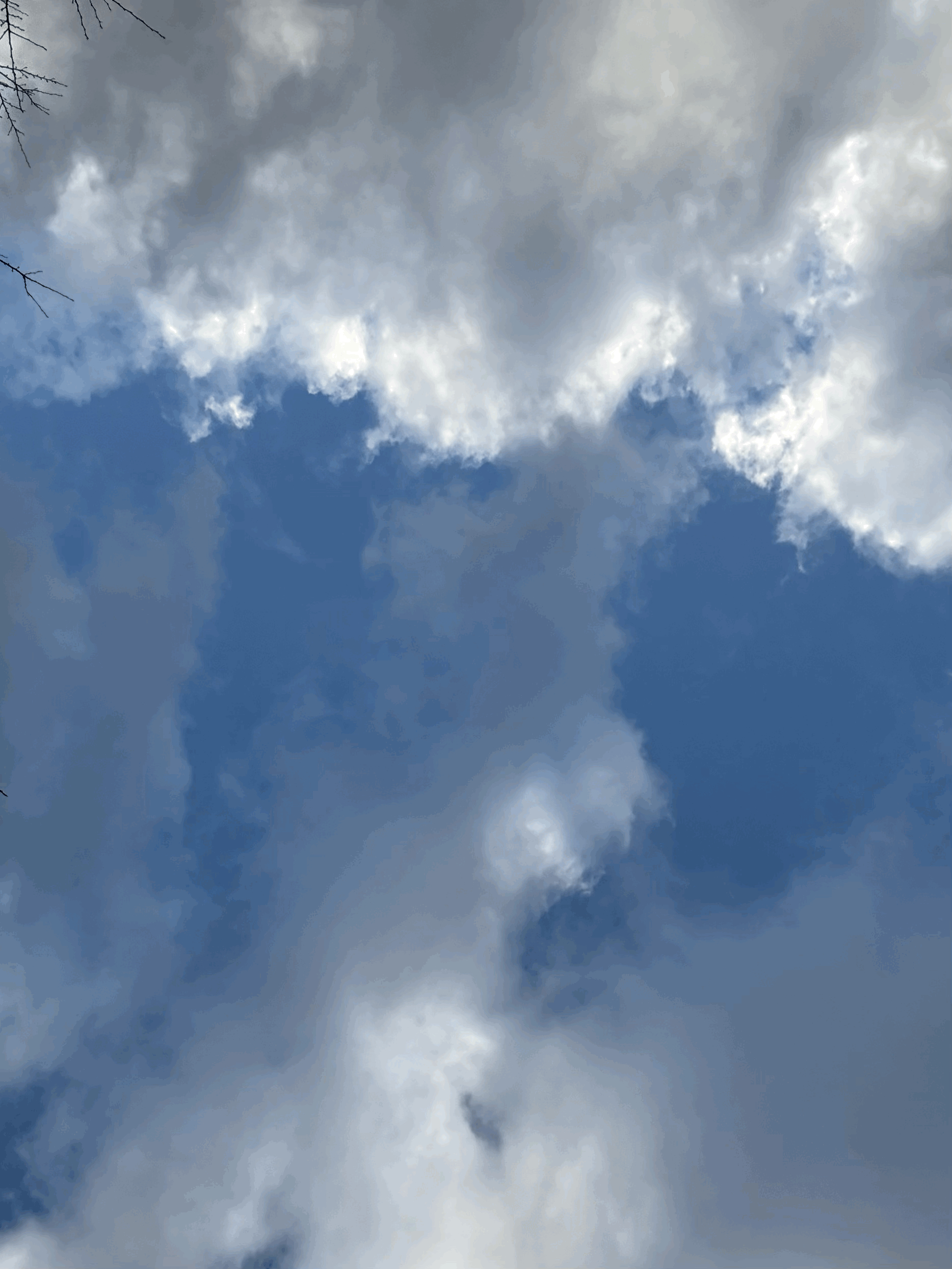 tempImageVbyKqR.gif
