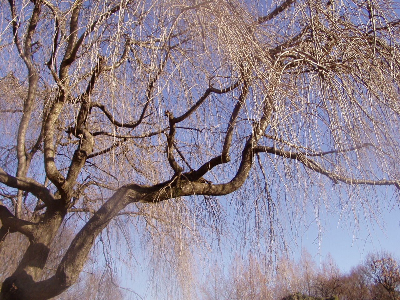 P1010070.JPG