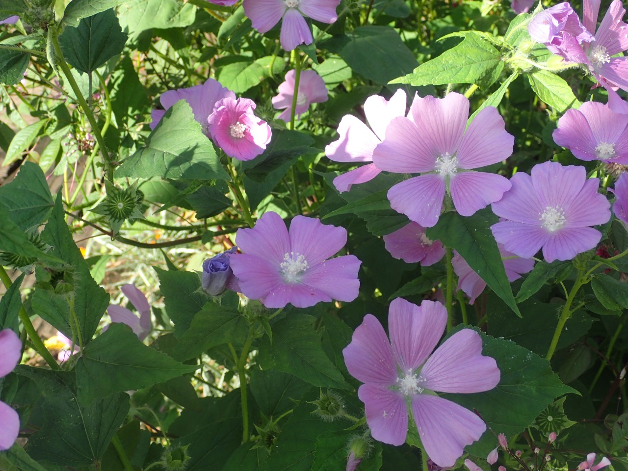 PB170030.JPG