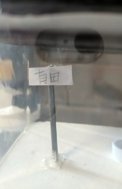 16075680360772.jpg