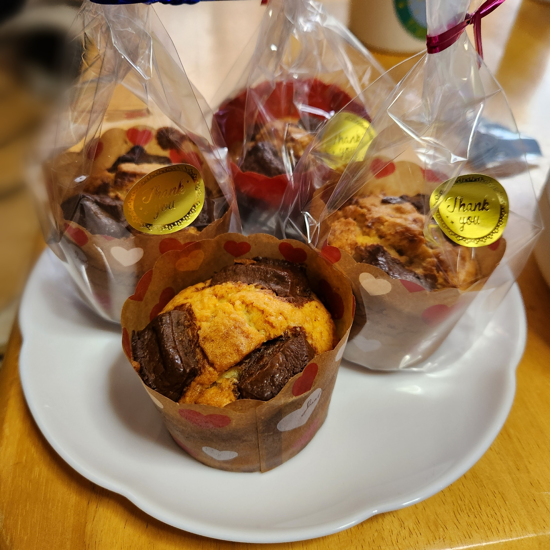 Point Blur_20241215_154032.jpg