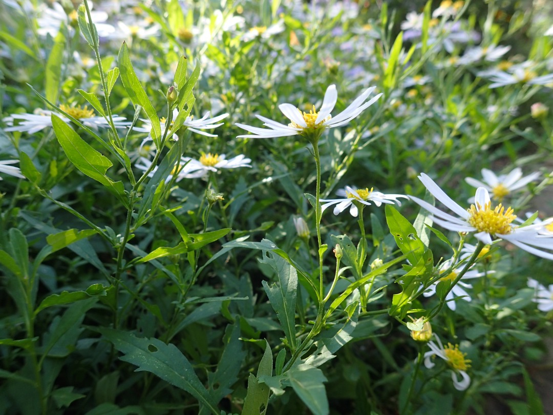 PA100865.JPG