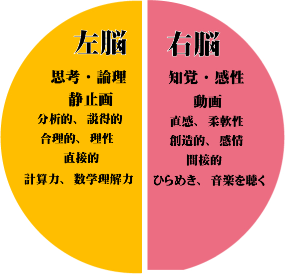 左脳右脳.gif