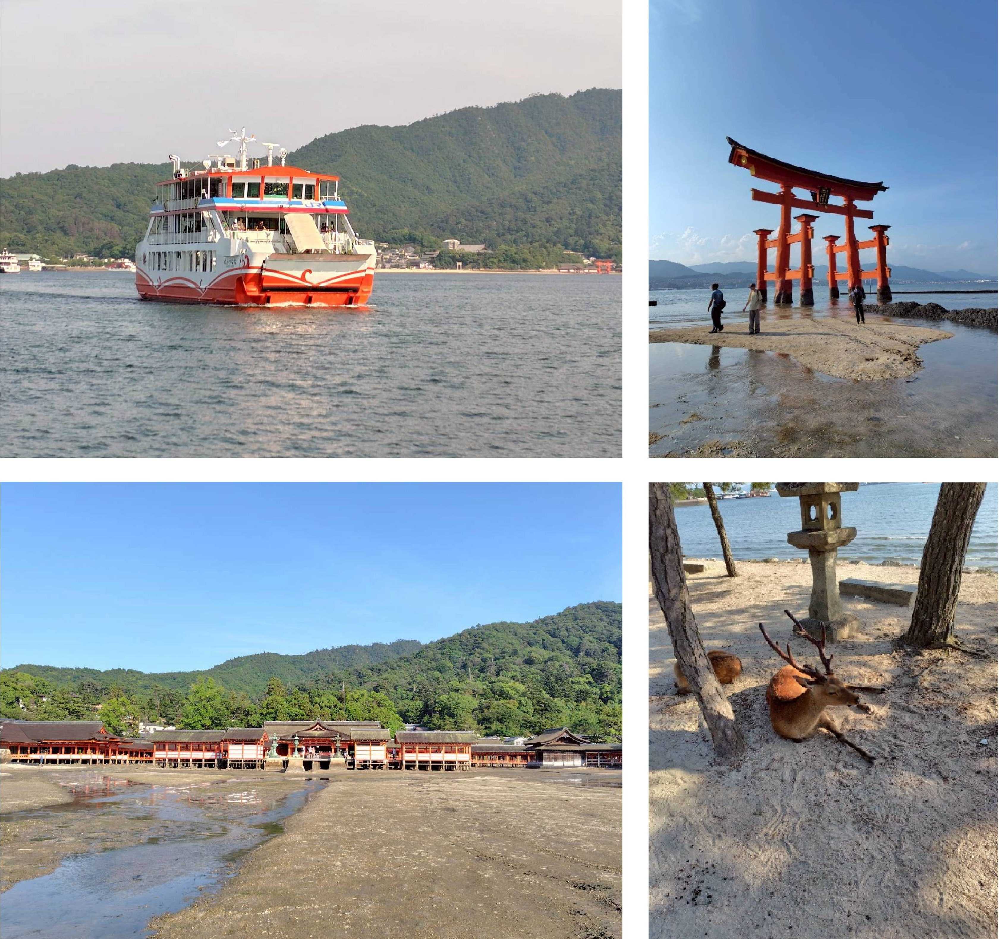 宮島.jpg
