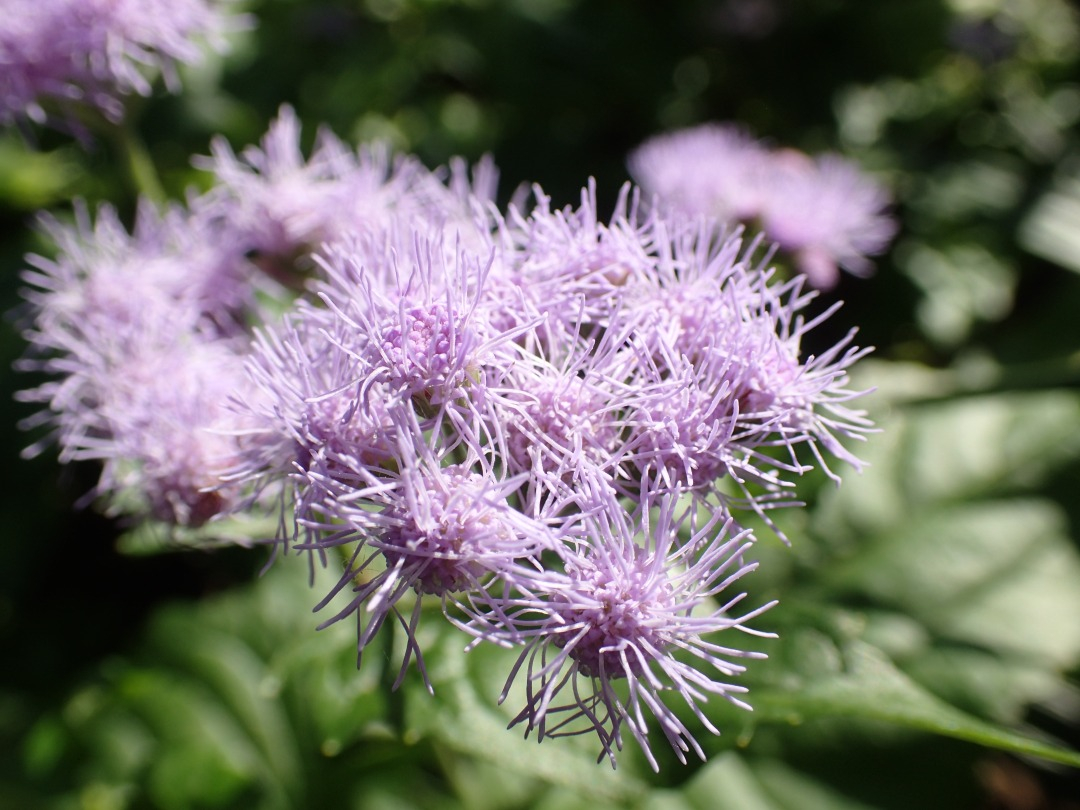 PA100648.JPG
