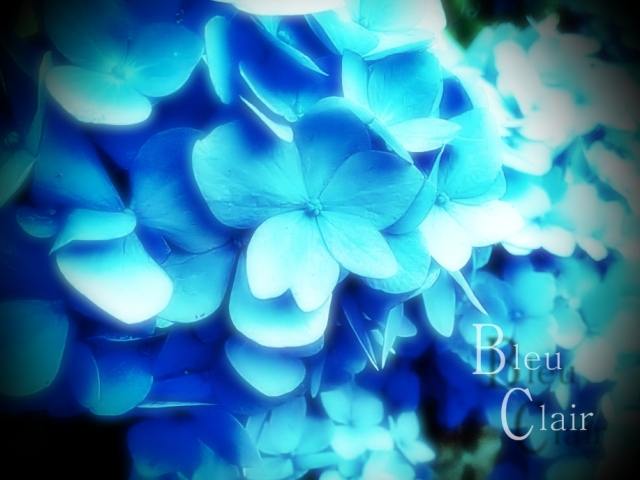 Bleu Clair・ジャケット.jpg