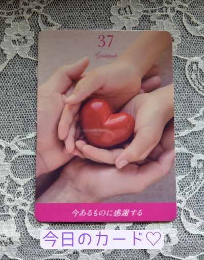 今日のカード.jpg