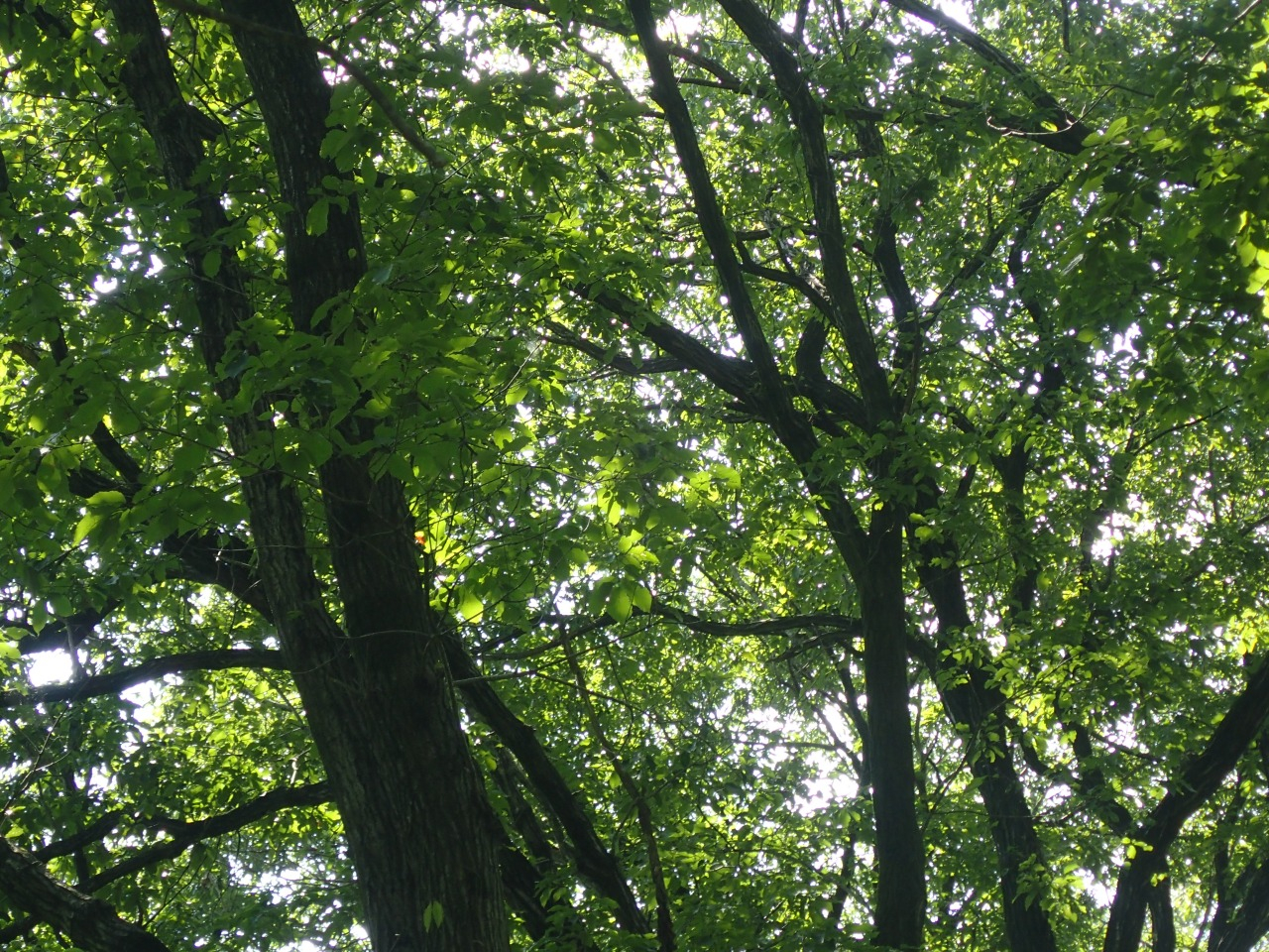 P8050716.JPG