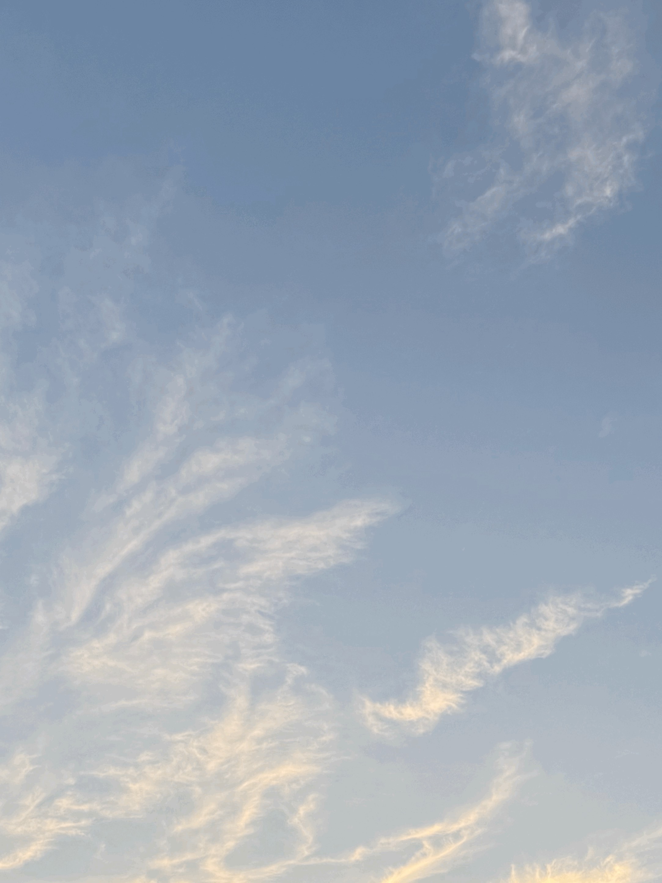 tempImageaHbRue.gif