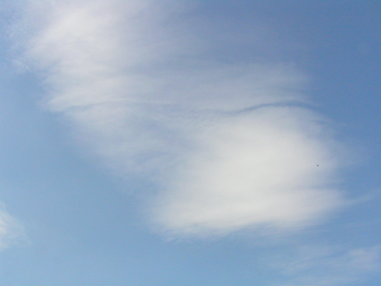 PA260023.JPG
