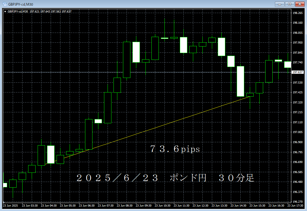 20250623ポンド円３０分足.png