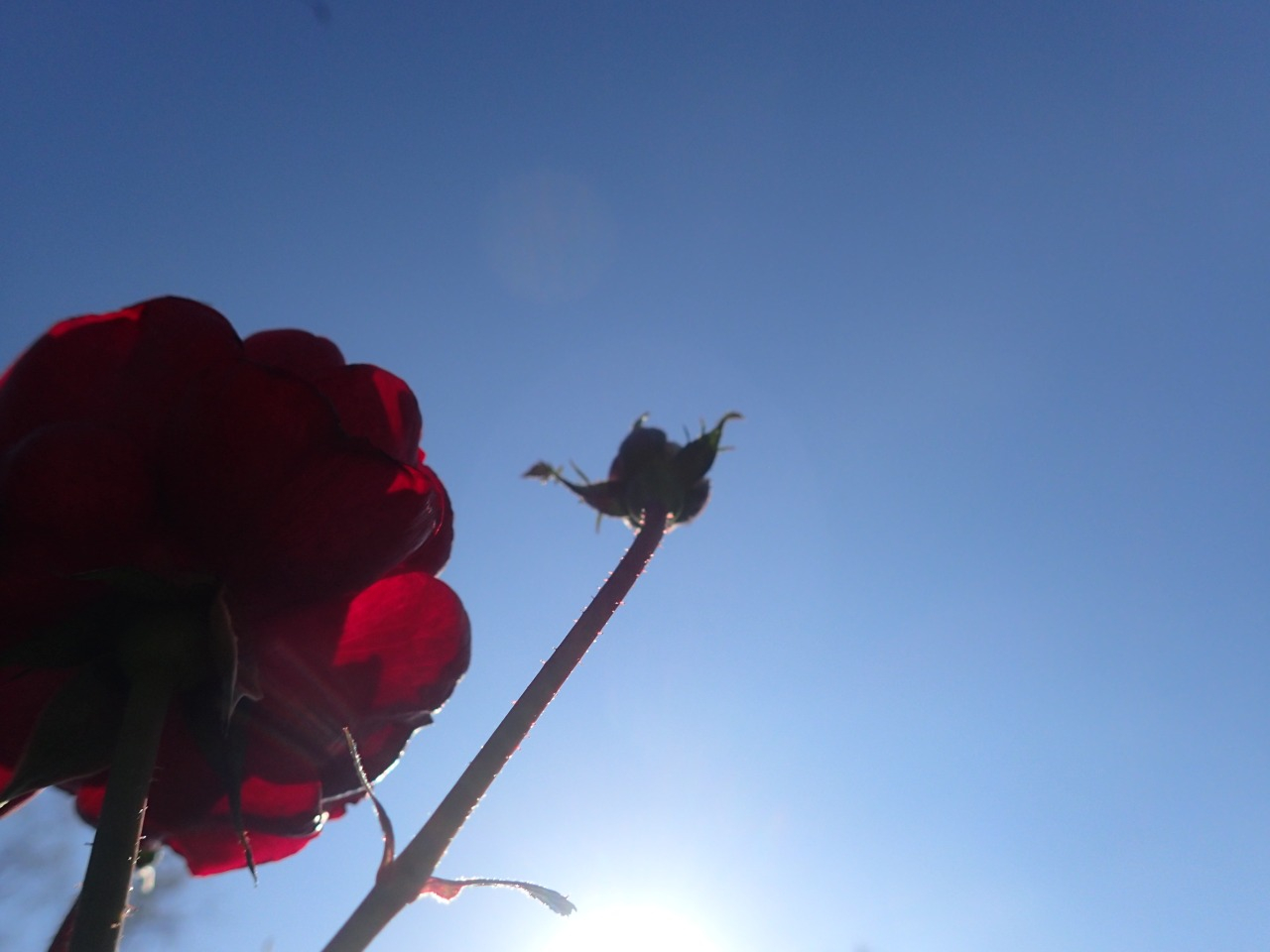 PB160309.JPG