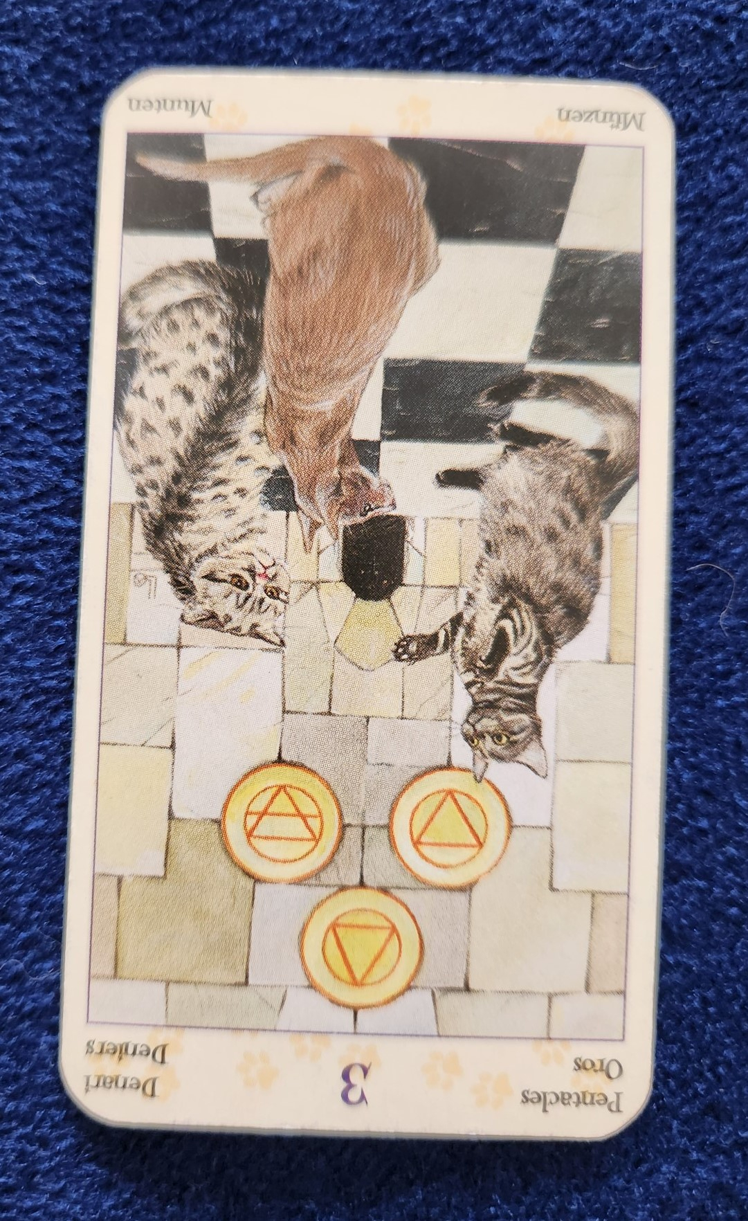 20230929_085613 (002).jpg