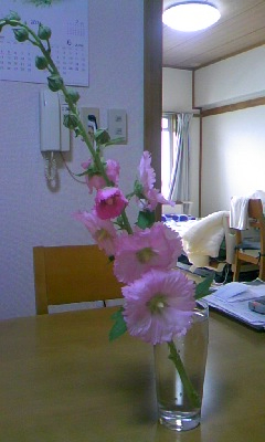 210526_1101_01.jpg