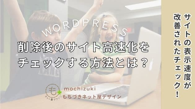 wordpress-plugin-cleanup1 (6).jpg