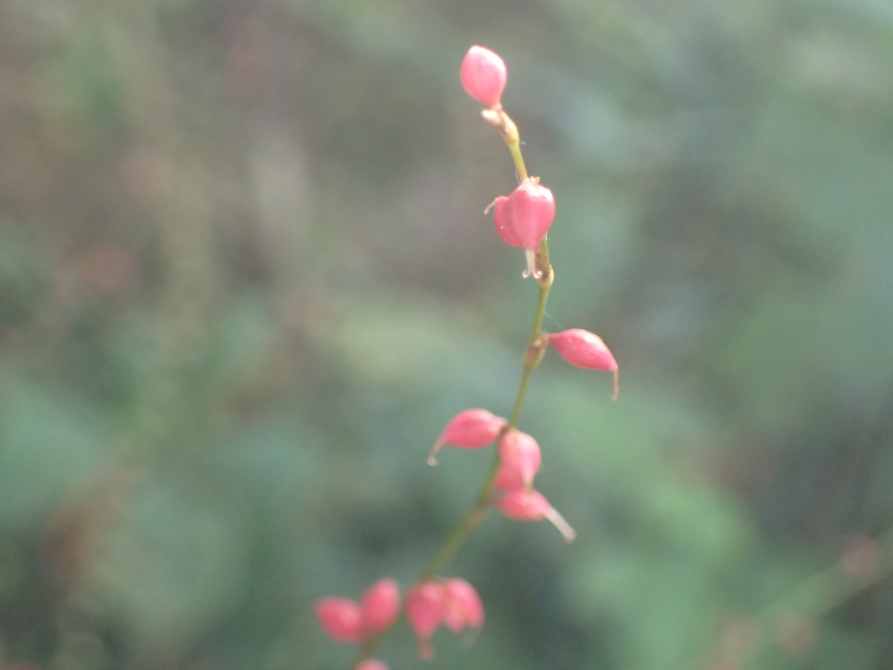PB010805.JPG