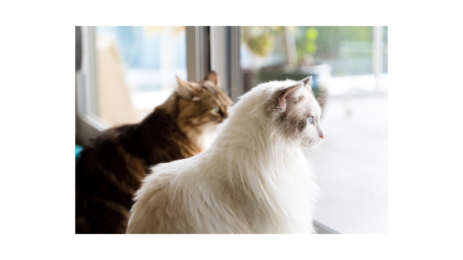 名称未設定のデザイン (42).png