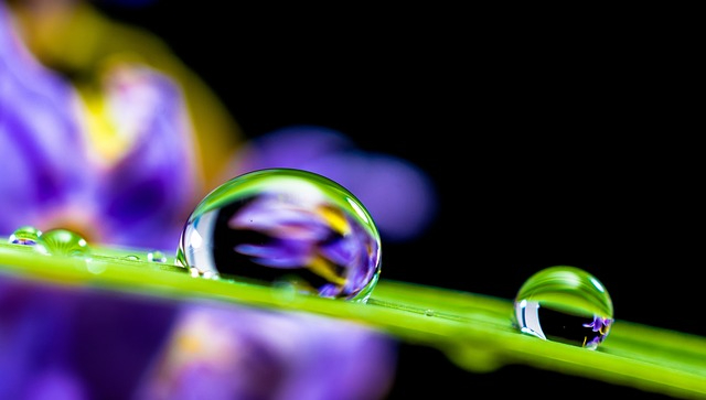 drop-of-water-351778_640.jpg