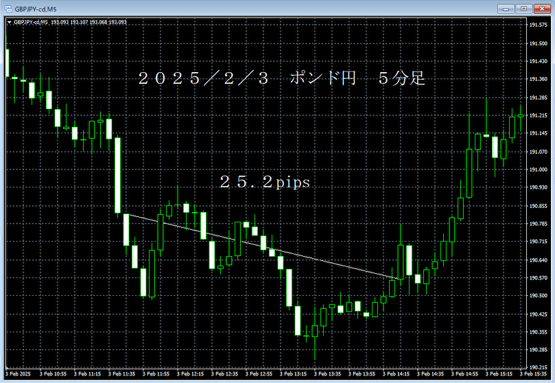 20250203ポンド円５分足.png