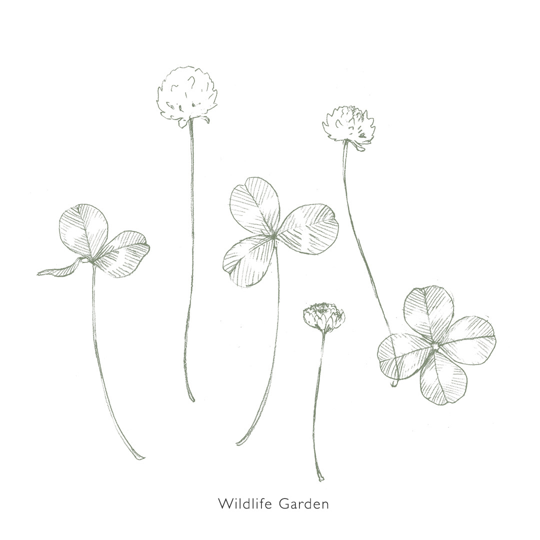 シロツメクサ イニシャルのオリジナルロゴ Kadoyari Coconalaブログ