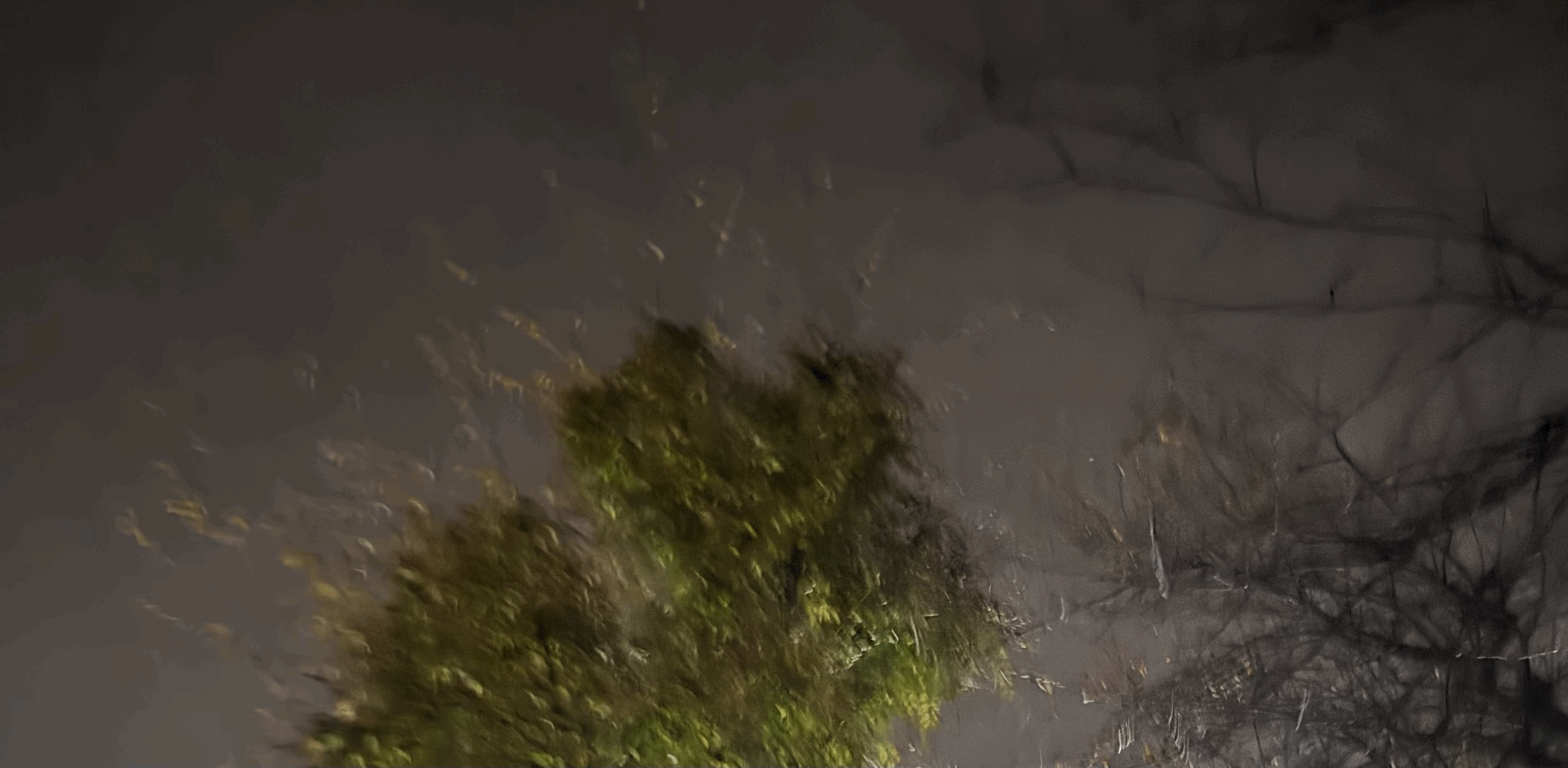 tempImageOsjaLt.gif