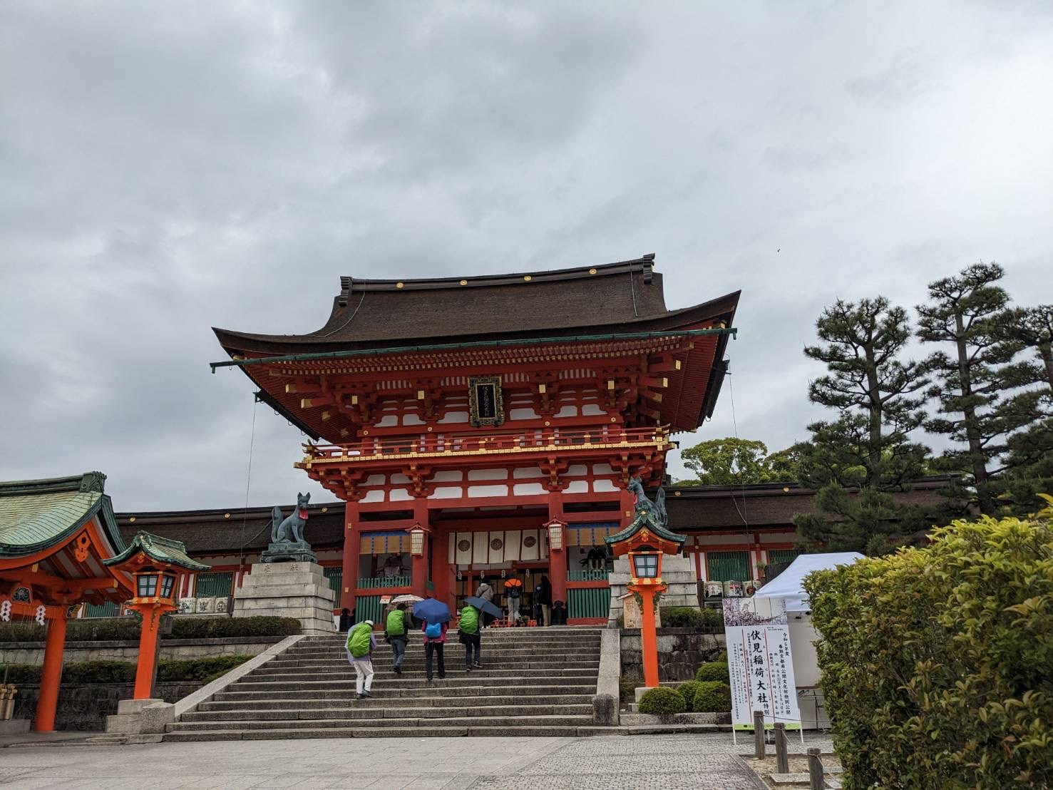 S__49307680.jpg