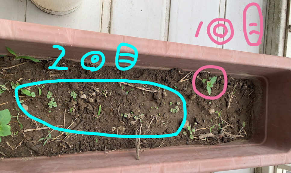 スクリーンショット 2024-05-29 15.59.19.png