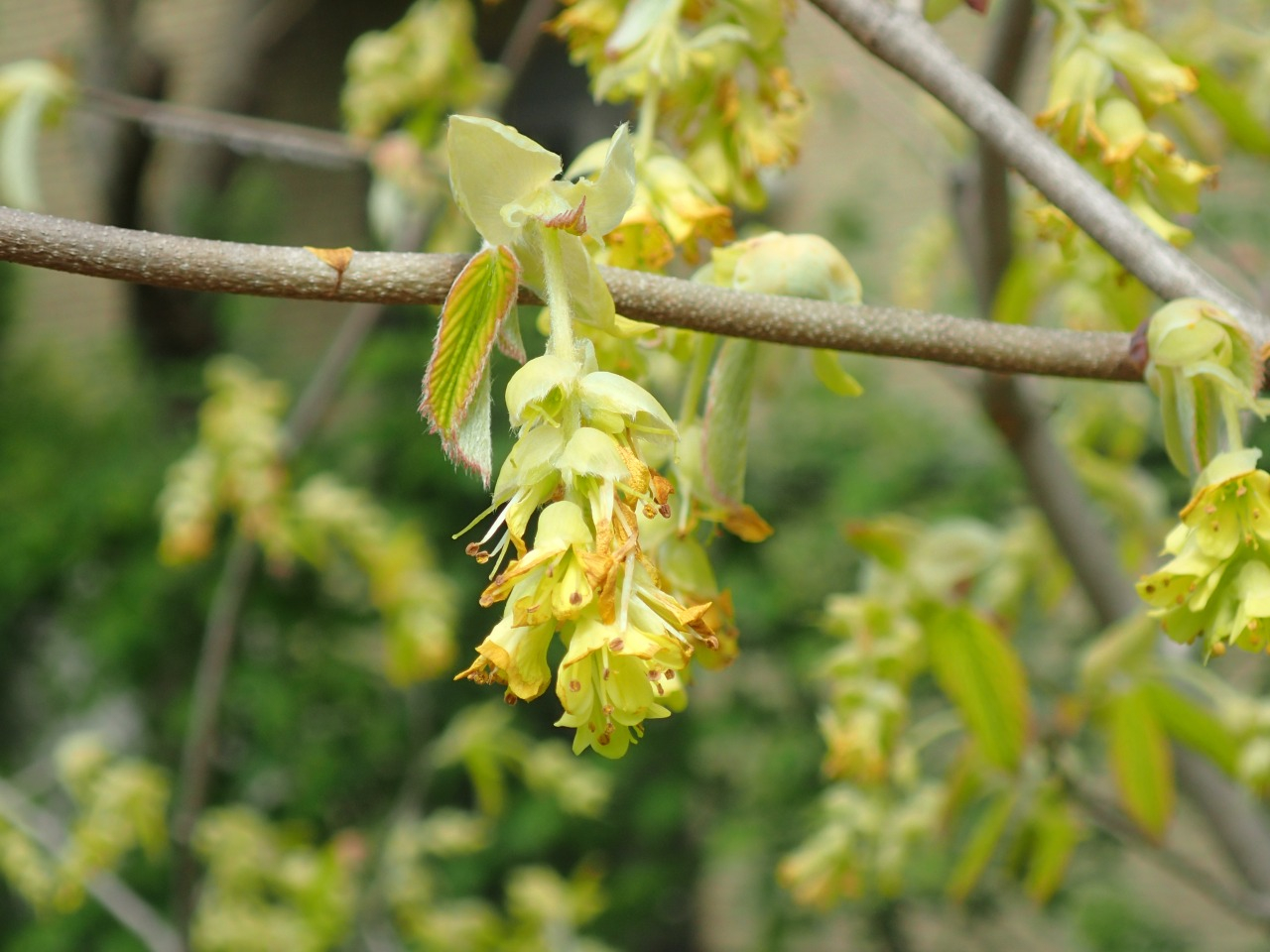 P4050894.JPG
