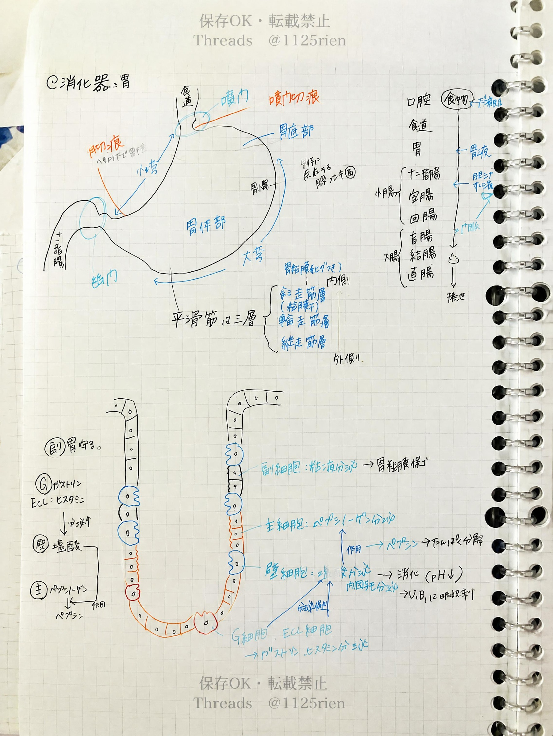 Canva AIによる画像：2026年10月8日 12_15_51.jpg