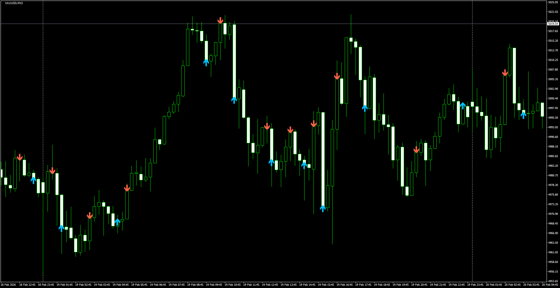 XAUUSD(M15)_2026.02.20_205417.png