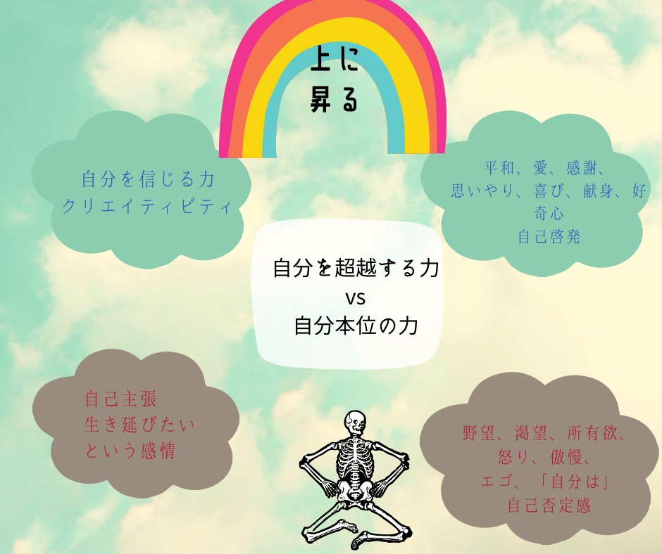 A83F6A79-99FF-4A07-BD80-9069E2CBFF4E.jpeg