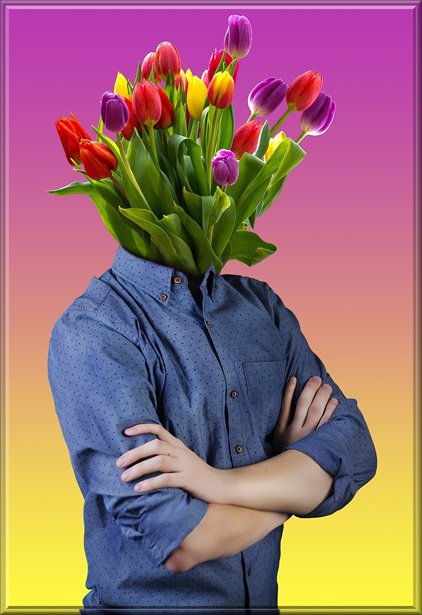 man-3153446.jpg