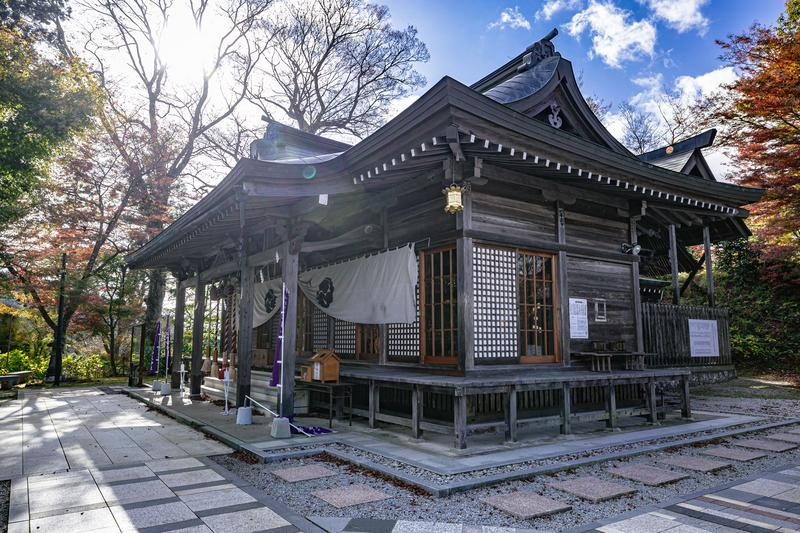 FUKUNAKAIMG_9790_TP_V4.jpg