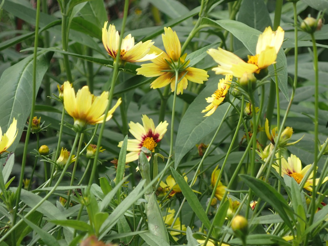 PA120497.JPG